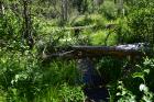 thumbs/DSC_0015.JPG.jpg