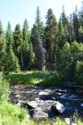 thumbs/DSC_0054.JPG.jpg
