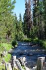 thumbs/DSC_0055.JPG.jpg