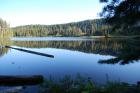 thumbs/DSC_0213.JPG.jpg