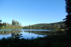 thumbs/DSC_0215.JPG.jpg