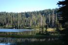 thumbs/DSC_0216.JPG.jpg