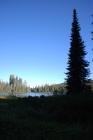 thumbs/DSC_0218.JPG.jpg