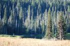 thumbs/DSC_0219.JPG.jpg