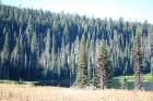 thumbs/DSC_0220.JPG.jpg