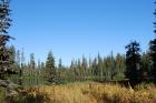 thumbs/DSC_0222.JPG.jpg