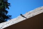 thumbs/DSC_0224.JPG.jpg