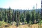 thumbs/DSC_0227.JPG.jpg