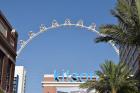 thumbs/DSC_0017.JPG.jpg