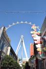 thumbs/DSC_0025.JPG.jpg
