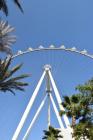 thumbs/DSC_0029.JPG.jpg