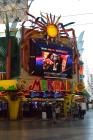 thumbs/DSC_0079.JPG.jpg