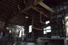 thumbs/DSC_0121.JPG.jpg