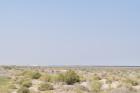 thumbs/DSC_0229.JPG.jpg
