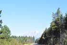 thumbs/DSC_0275.JPG.jpg