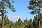 thumbs/DSC_0277.JPG.jpg