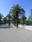 thumbs/IMG_6800.jpg