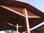 thumbs/IMG_6843.jpg