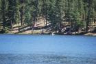 thumbs/DSC_0378.JPG.jpg