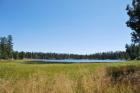 thumbs/DSC_0383.JPG.jpg