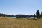 thumbs/DSC_0389.JPG.jpg