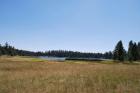 thumbs/DSC_0390.JPG.jpg
