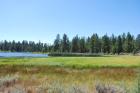 thumbs/DSC_0392.JPG.jpg