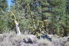 thumbs/DSC_0394.JPG.jpg