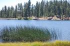 thumbs/DSC_0398.JPG.jpg