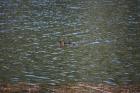 thumbs/DSC_0399.JPG.jpg