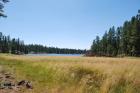 thumbs/DSC_0407.JPG.jpg