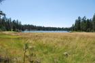 thumbs/DSC_0408.JPG.jpg