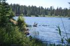 thumbs/DSC_0409.JPG.jpg