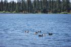 thumbs/DSC_0412.JPG.jpg