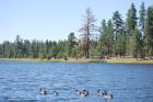 thumbs/DSC_0413.JPG.jpg