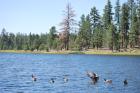 thumbs/DSC_0414.JPG.jpg