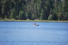 thumbs/DSC_0418.JPG.jpg