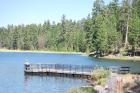 thumbs/DSC_0420.JPG.jpg