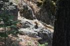 thumbs/DSC_0421.JPG.jpg