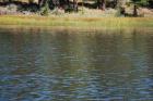 thumbs/DSC_0428.JPG.jpg