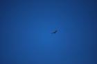 thumbs/DSC_0429.JPG.jpg