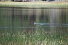 thumbs/DSC_0434.JPG.jpg