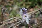 thumbs/DSC_0438.JPG.jpg