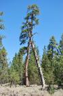 thumbs/DSC_0442.JPG.jpg