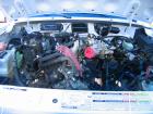 thumbs/IMG_5135.JPG.jpg