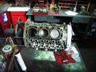 thumbs/IMG_5187.JPG.jpg