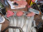 thumbs/IMG_5248.JPG.jpg