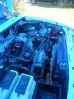 thumbs/IMG_5272.JPG.jpg