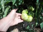 thumbs/DSCN1777.JPG.jpg