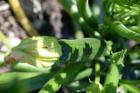 thumbs/DSC_0701.JPG.jpg